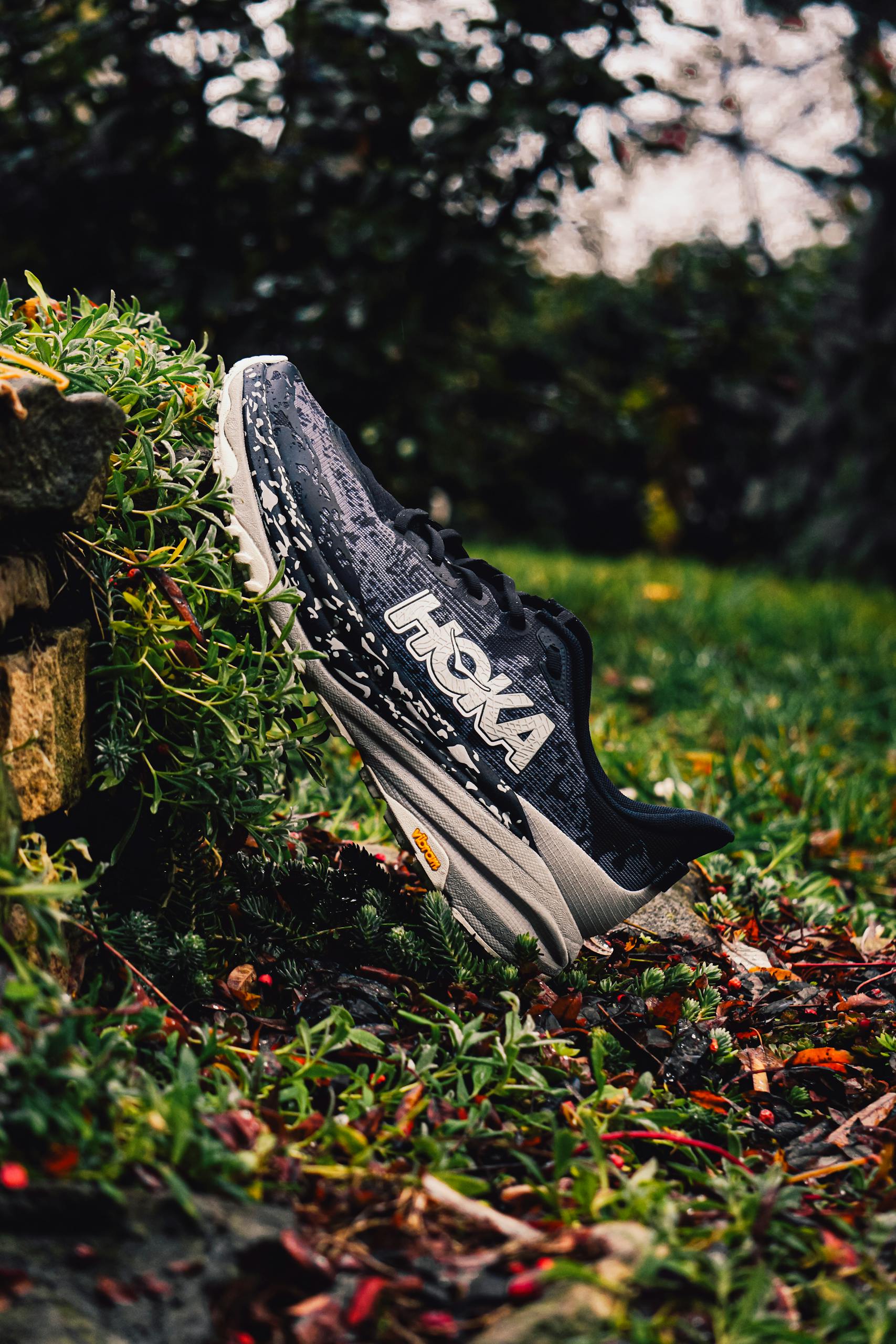 Black trail running shoe captured in a natural outdoor environment with lush greenery.