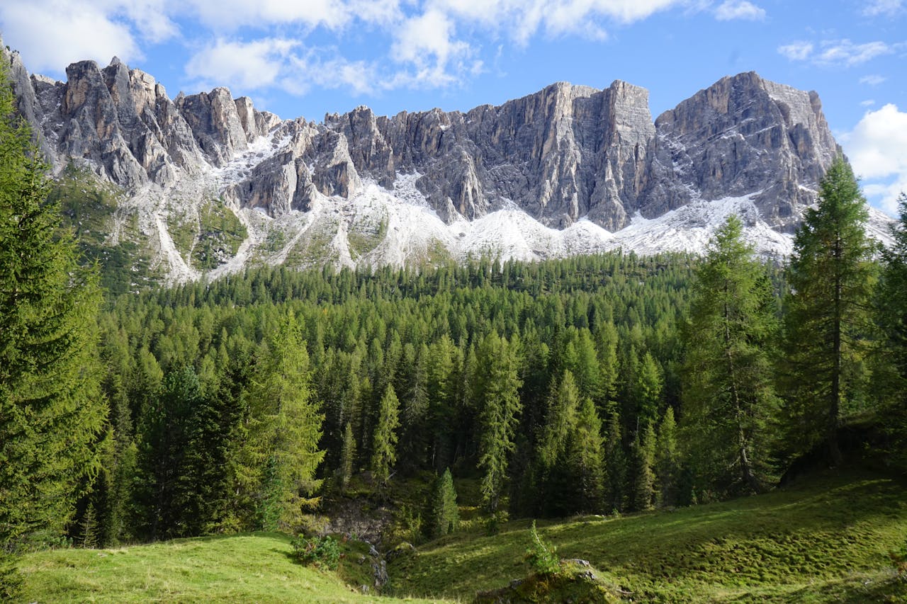 Stunning landscape of alpine peaks and dense forest under a clear blue sky.