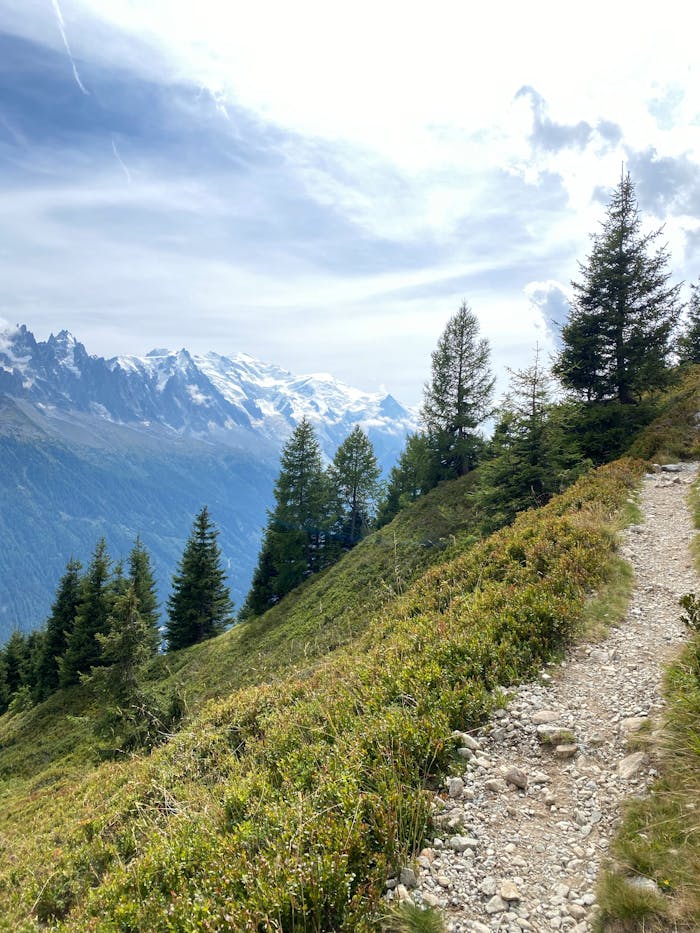 Explore a breathtaking alpine trail with lush greenery and majestic mountain views.