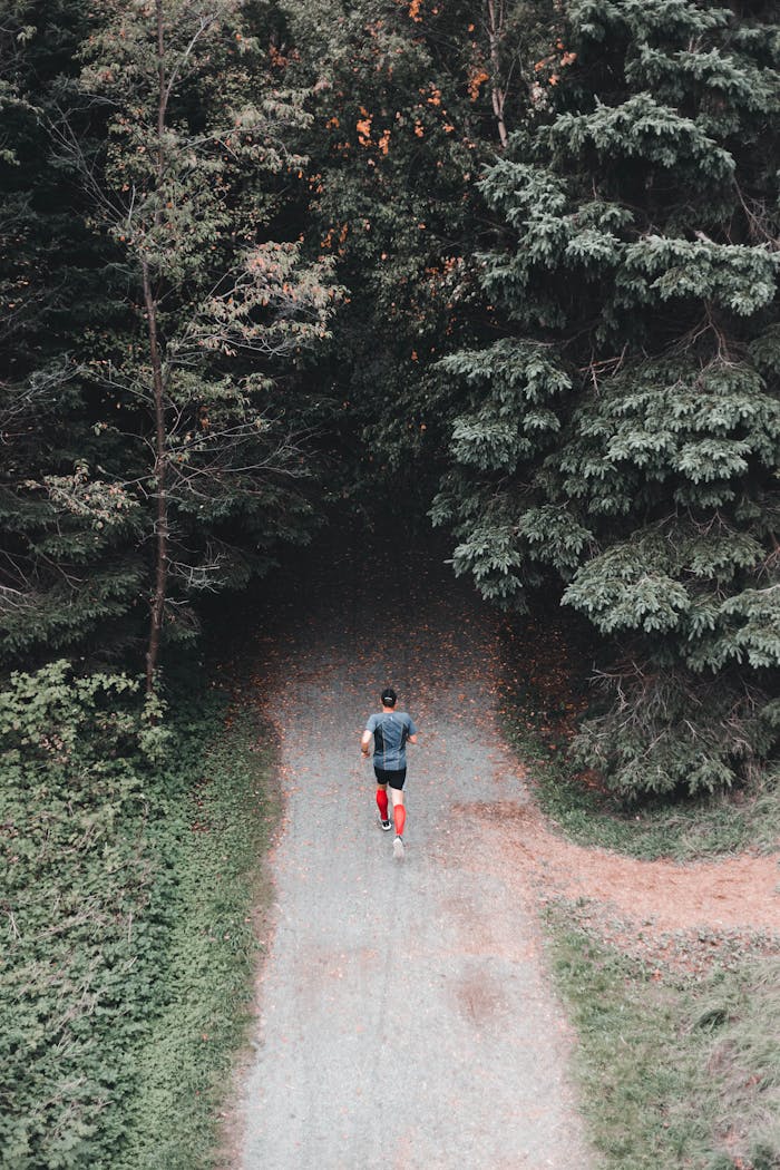 Aerial view of a man jogging on a winding forest trail during the day.